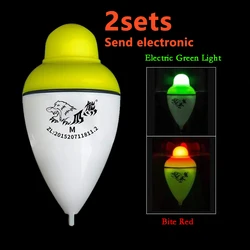 2Pcs Sensing Electric Float Night Light Fishing Float Sea Fishing Rod Casting Rods Shining Buoy Eye-Catching