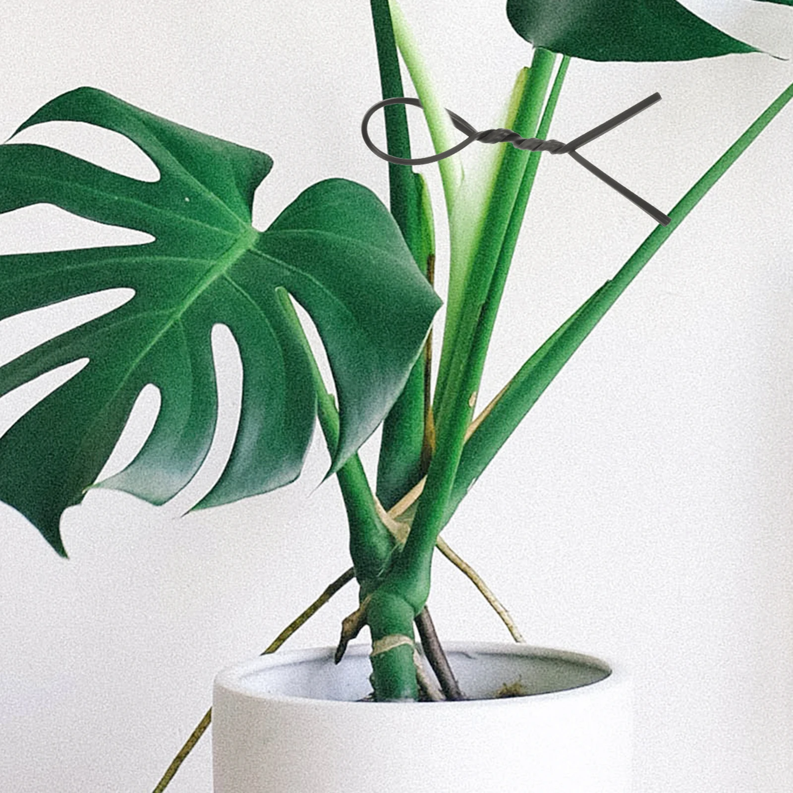 

1000Pcs Plastic Coated Iron Wire Ties Reusable Heavy Duty Cable Organizers for USB Cords Garden Shrub Fixed Ties