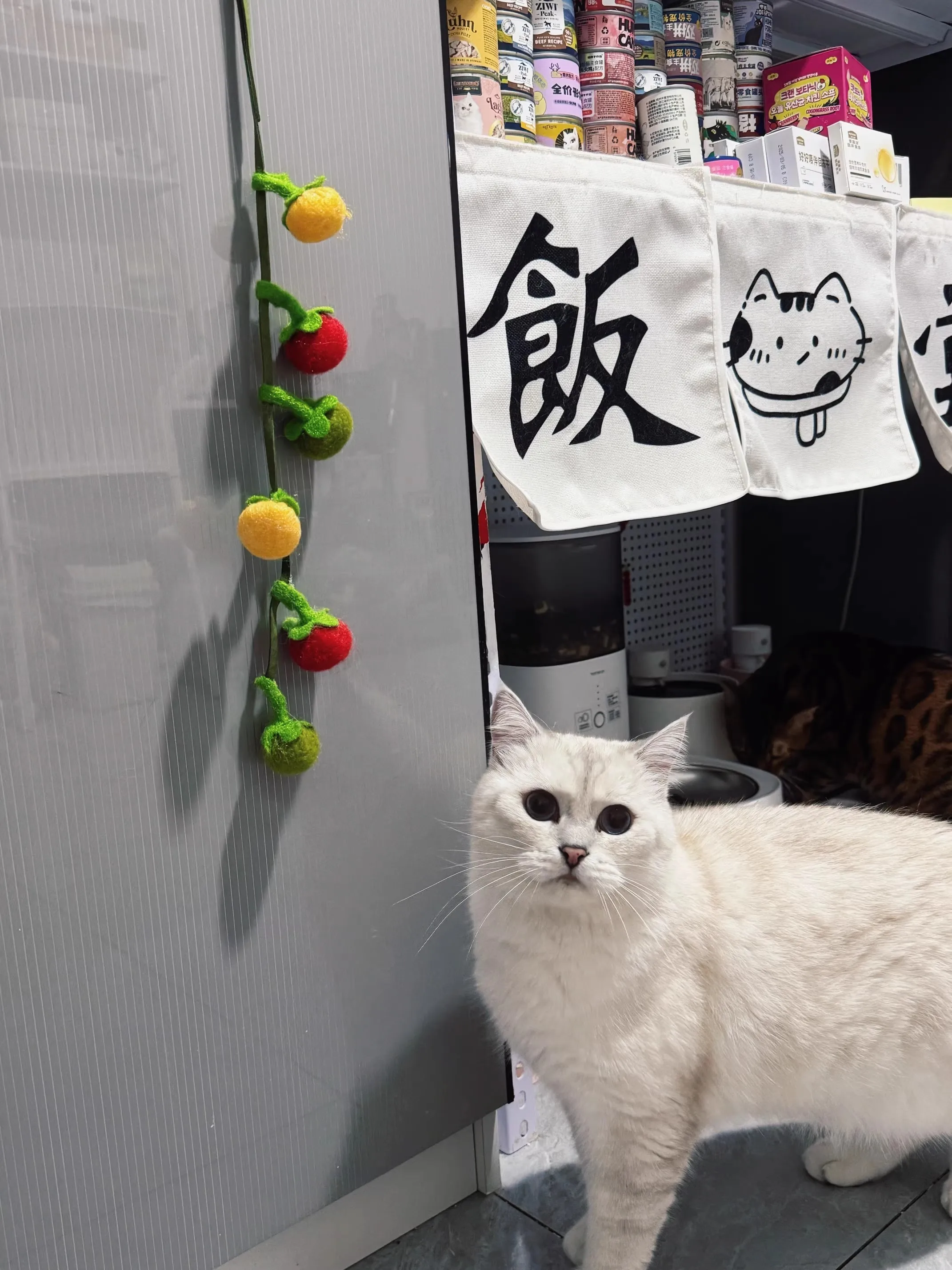 Zellenspielzeug für Tomatenkatzen necken; Selbstunterhaltungsspielzeug mit Glocke im Inneren; an der Tür hängen; Katzenspielzeug mit Fellknäuel