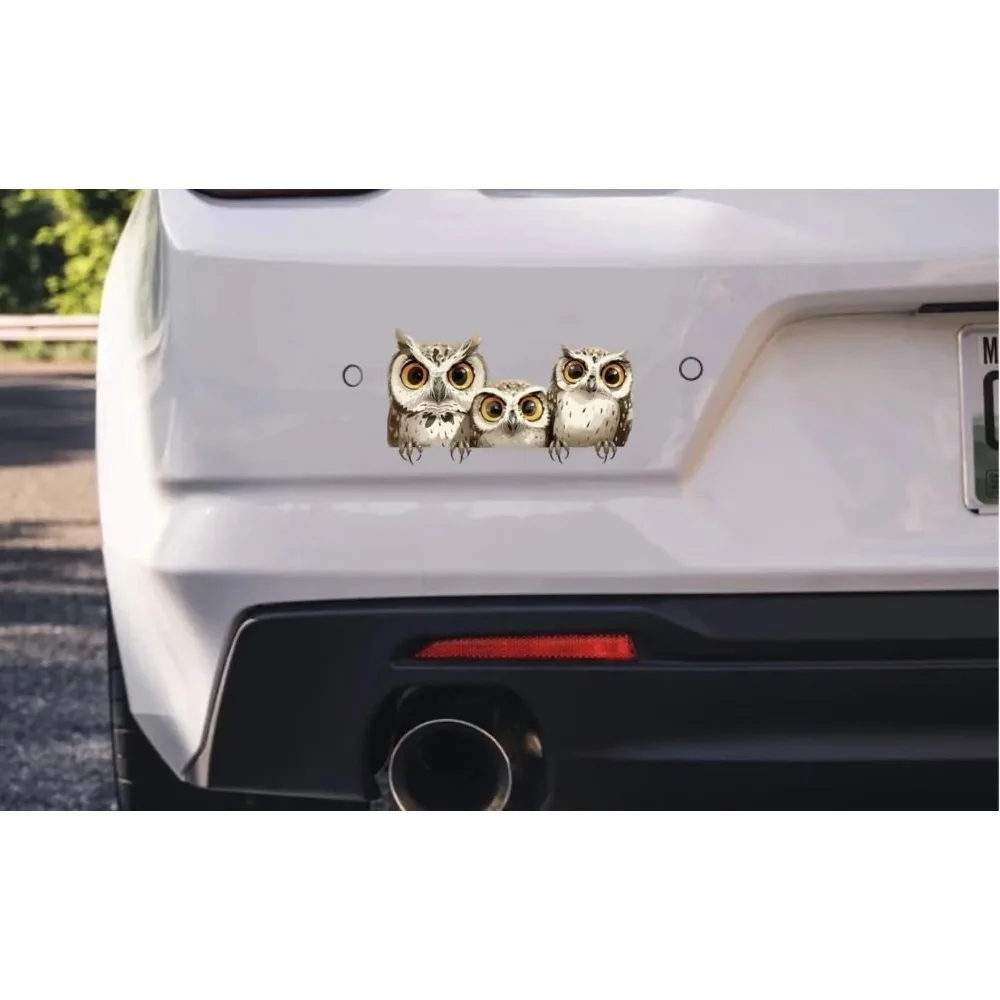 Adorable Owl Decal. Durable Cute Car Laptop Window Bumper Waterproof Vinyl Decal Gift Cool Cute Unique Unique Cool Trendy