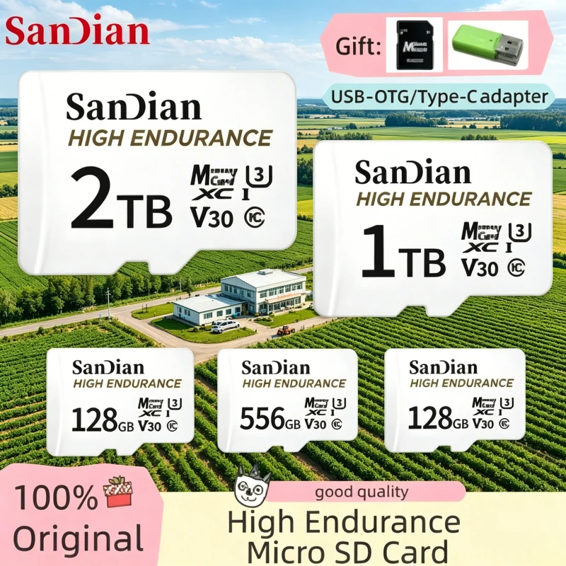

High Endurance 4K UHD-I Micro TF SD XC Video Card Read MobileMate C10 Memory Cards for Drone Dash Cam Home Monitor SanDian