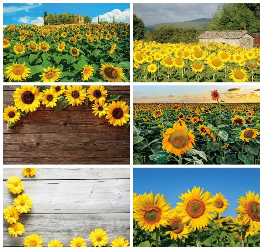 

Laeacco Rustic Sunflowers Photo Backdrop Natural Yellow Flower Field Rural Ranch Wedding Idyllic Farmland Photography Background