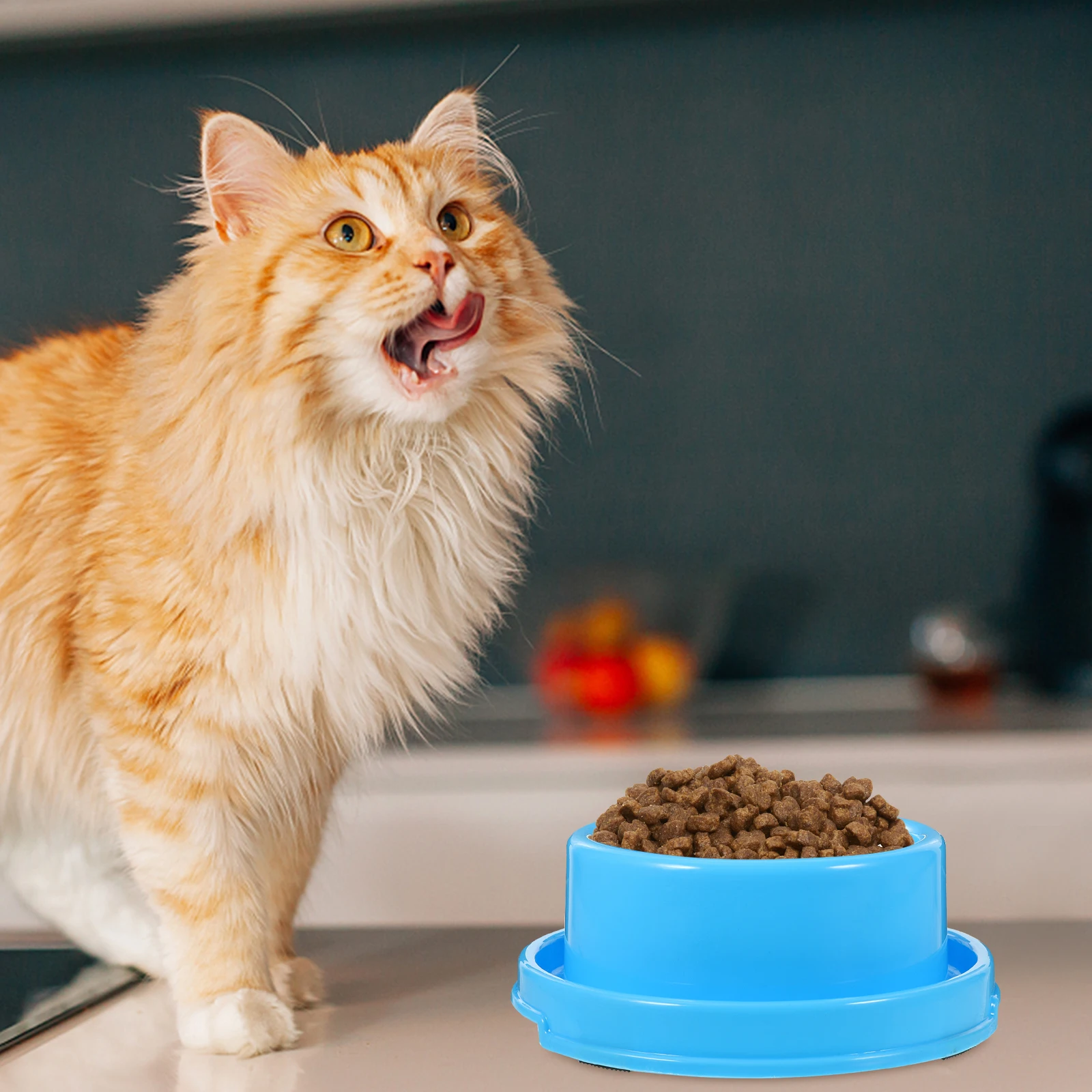 

Cat Bowl Ant-proof Circle Pet Food Bowls Puppy Dog Feeder Feeding for Litters Blue Dishes