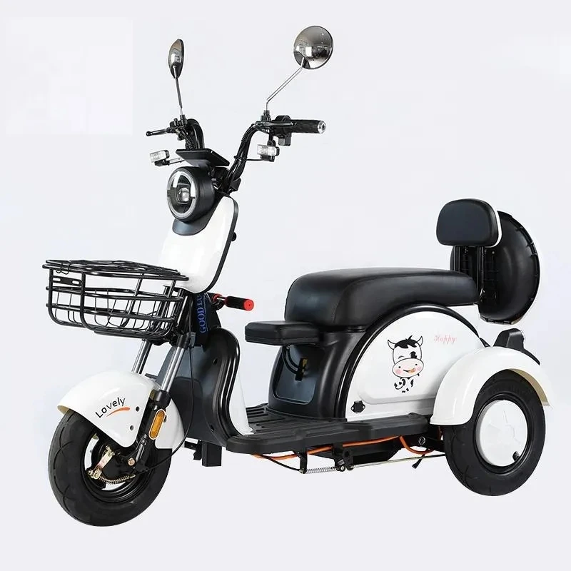 3 Wheel Electric Bicycle Production Factory New Three Wheel Motorcycle High Speed Big Battery 3 Wheel Old Electric Bicycle