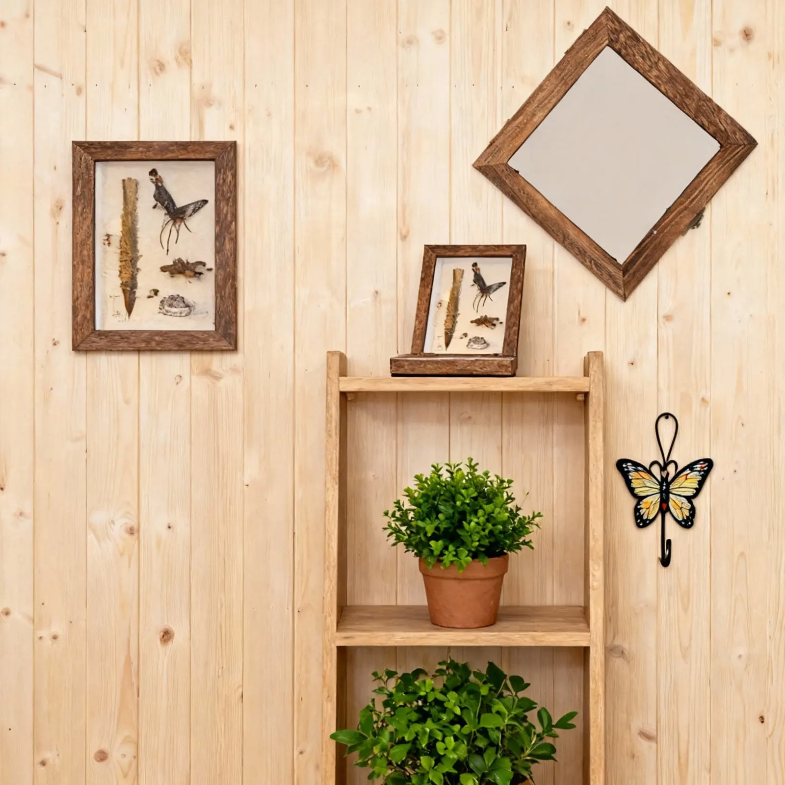 Caja de exhibición de acrílico y madera con tapa transparente para especímenes de insectos, joyas, monedas y artesanías