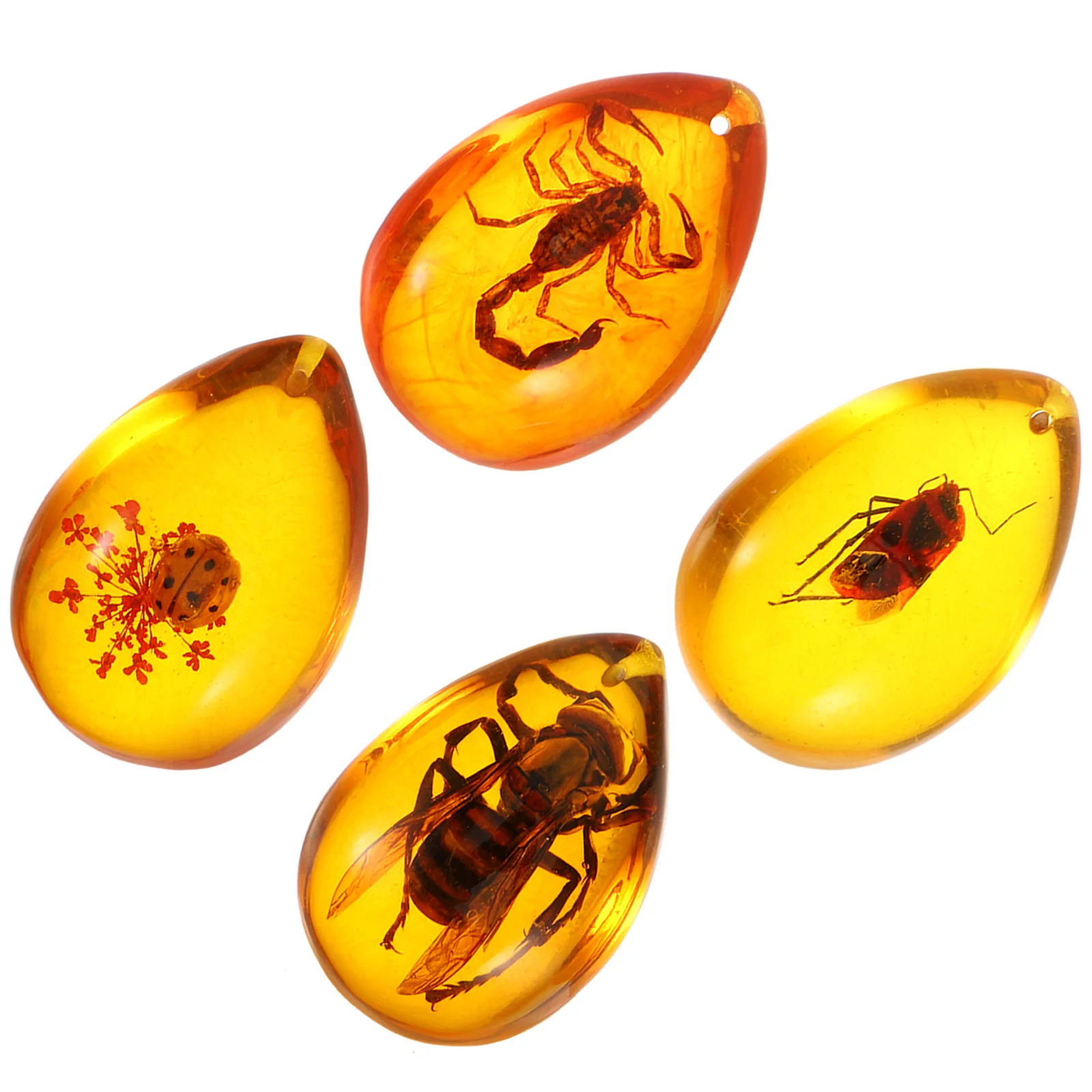 

4 Pcs Amber Specimen Tabletop Decor Insects Pendant Accessories with inside Resin