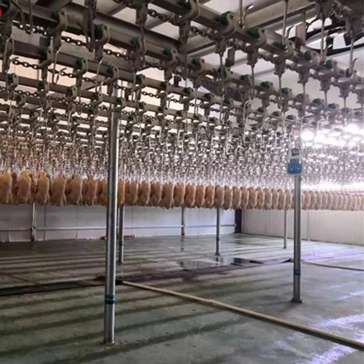 FL Semi‑Automatic Poultry Slaughter Line Simple Chicken Butchering Equipment for Beginner Chicken Farm Operator