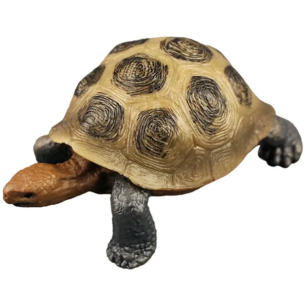 

Land Tortoise Plastic Realistic Lifelike Decoration Educational Ocean Animal Desktop Ornament Realistic Animal Toys