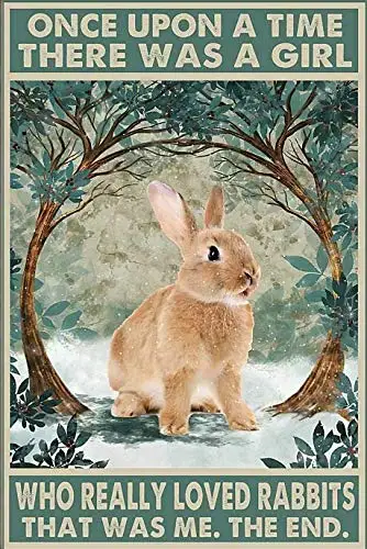 Metal Sign Rabbit Once Upon A Time Tin Signs New Year Easter Wall Decoration Bar Pub Family Cafe Signs Men Cave Best Gifts for F