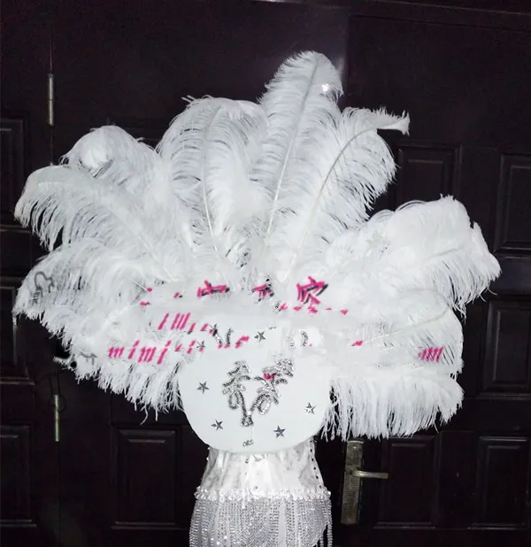 Stage costume costume ostrich hair backboard headdress dance team opening feather atmosphere costume white