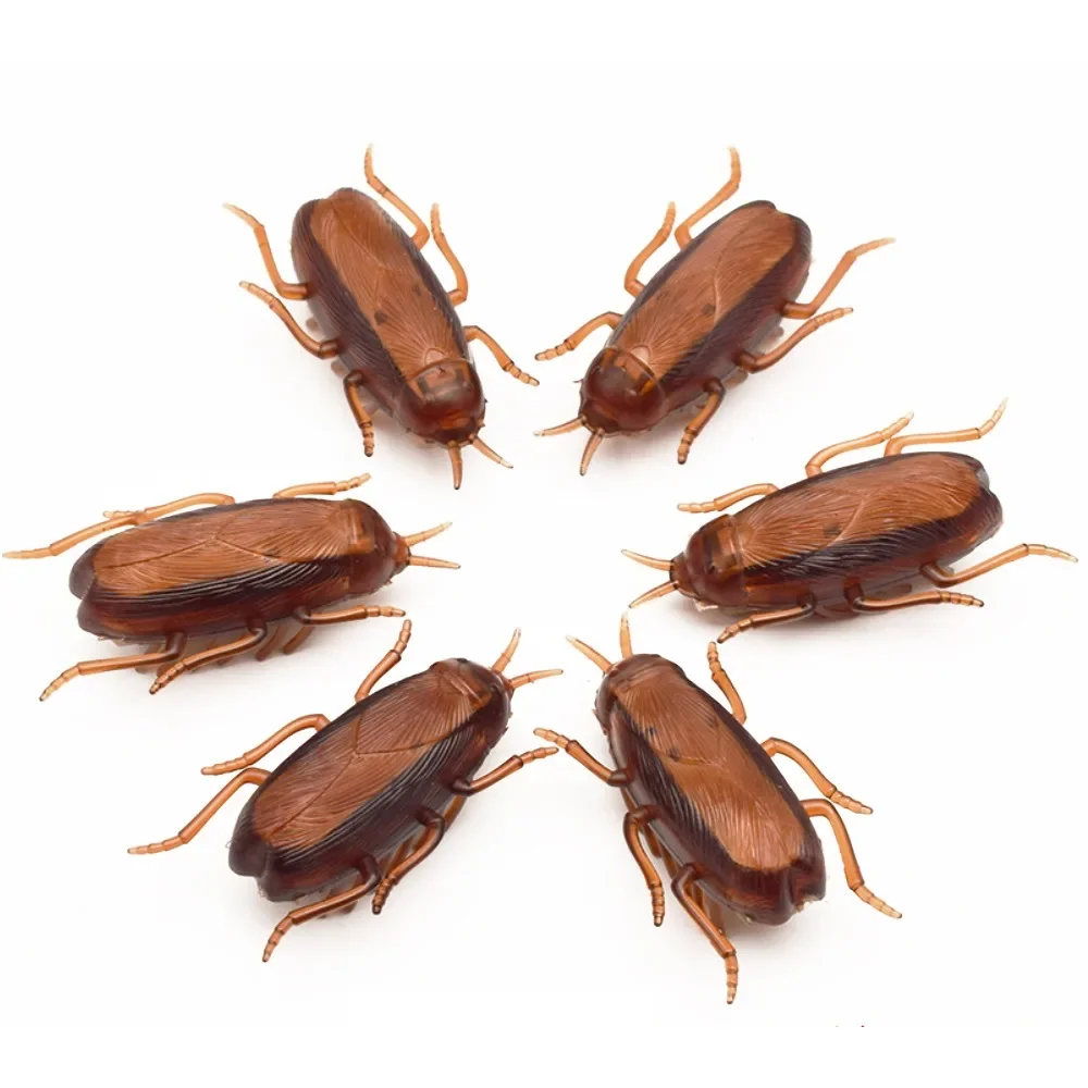 Jouet électronique créatif pour cafard, 2 pièces, jeu interactif, alimenté par batterie, pour animaux de compagnie, chat, chiot, nouveauté amusante, Gag, cadeau pour enfants