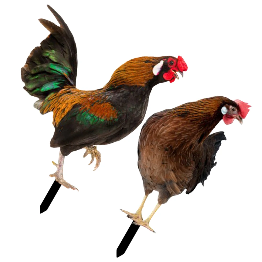 

2Pcs Decorative Garden Inserts Acrylic Chicken Stakes Double Sided UV Resistant Lawn nament Yard Art Realistic Shape Color Vivid