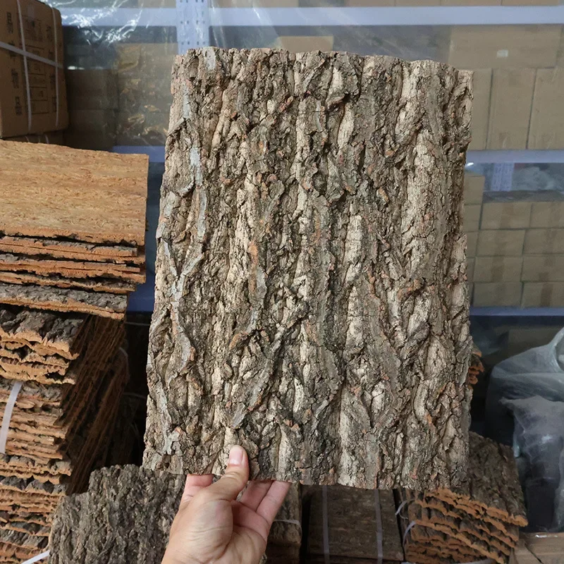 Acquario Backagreund Legno Driftwood Corteccia di albero Sughero Scalatore Rettile Lagarto Corteccia Champagne Olmo Decorazione per animali domestici Legno alla deriva