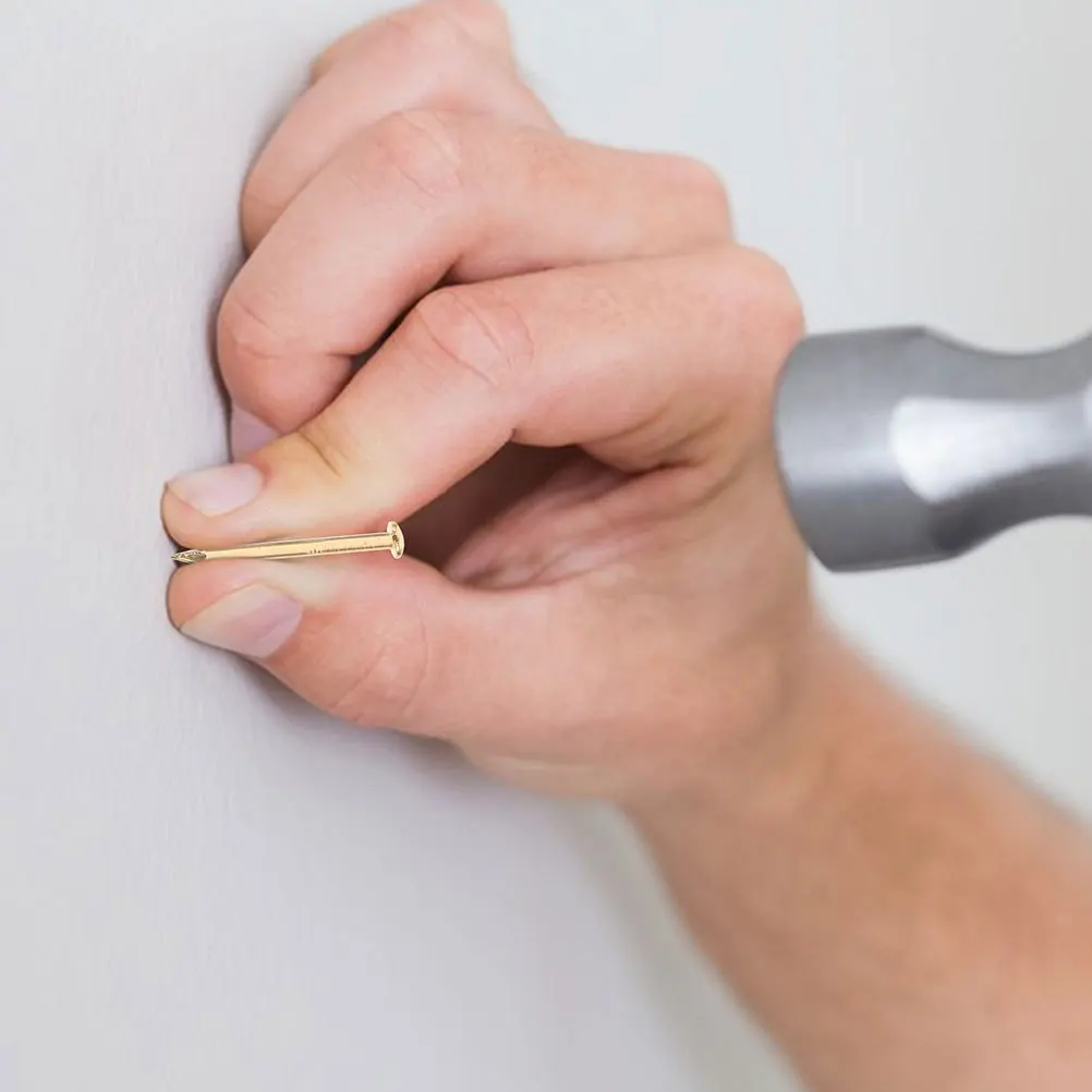 

200Pcs Copper Nails Round Head Strong Furniture Nails Fixing Hanging Pictures DIY Projects Copper Hanging Nail