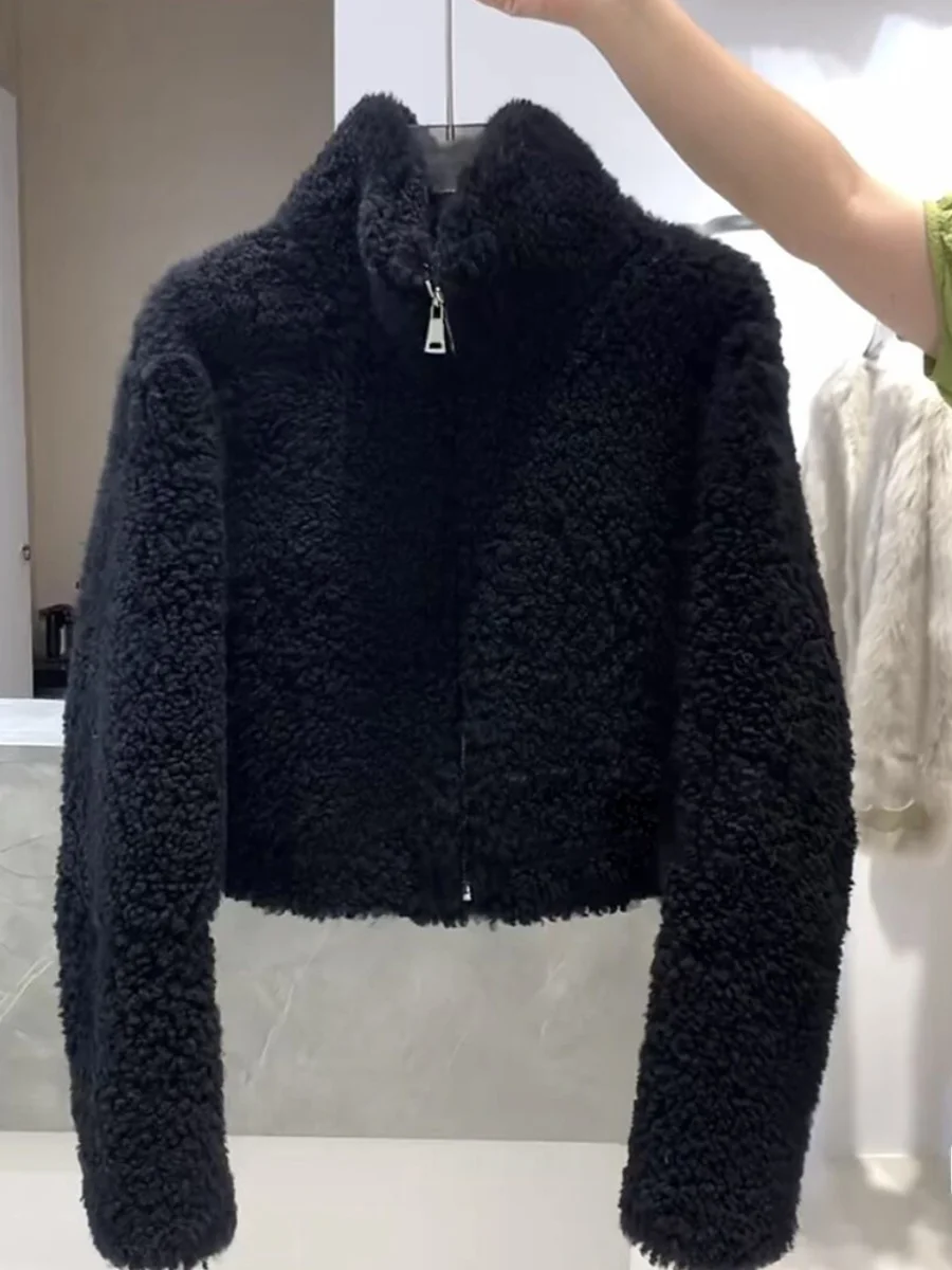 

Корейское повседневное пальто с мехом ягненка, женское осенне-зимнее пальто, свободный универсальный топ с воротником-стойкой