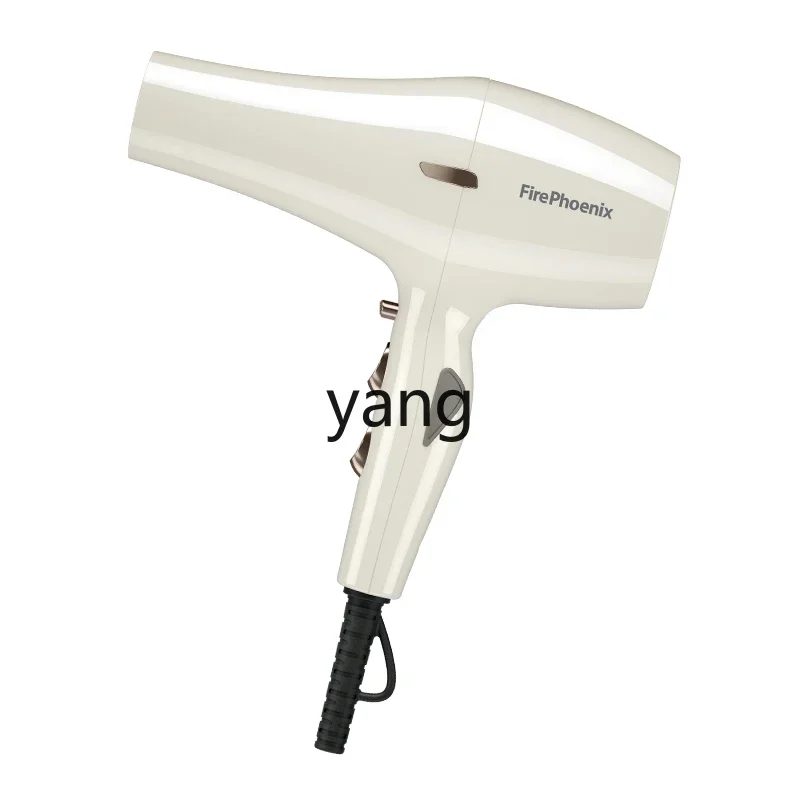 L'm'm High-Power Barber Shop Hair Stylist Household Hair Dryer