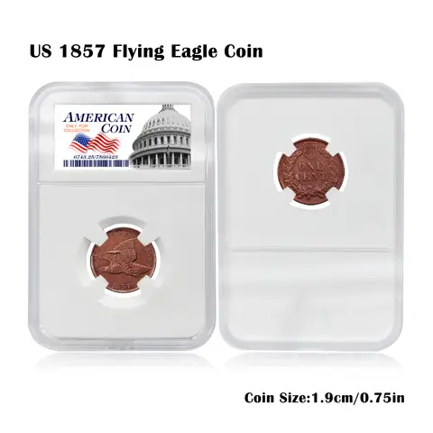 US 1857 Flying Eagle 1 Cent Red Brown Replica Coin - Souvenir with Transparent Display Box Collectors and Customers Gift