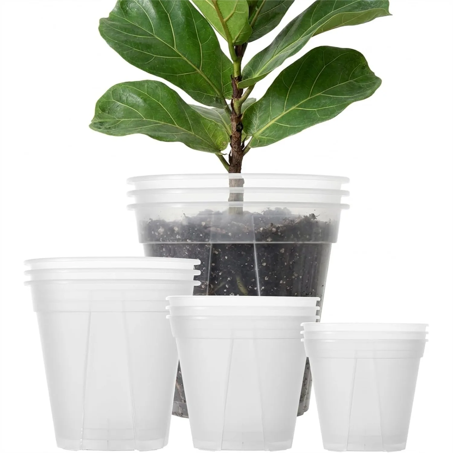 

12 Clear Nursery Pots with Drainage Holes, 7-12 inch Assorted Sizes, Reusable Plastic Planters for Orchids, Monstera, Aroids