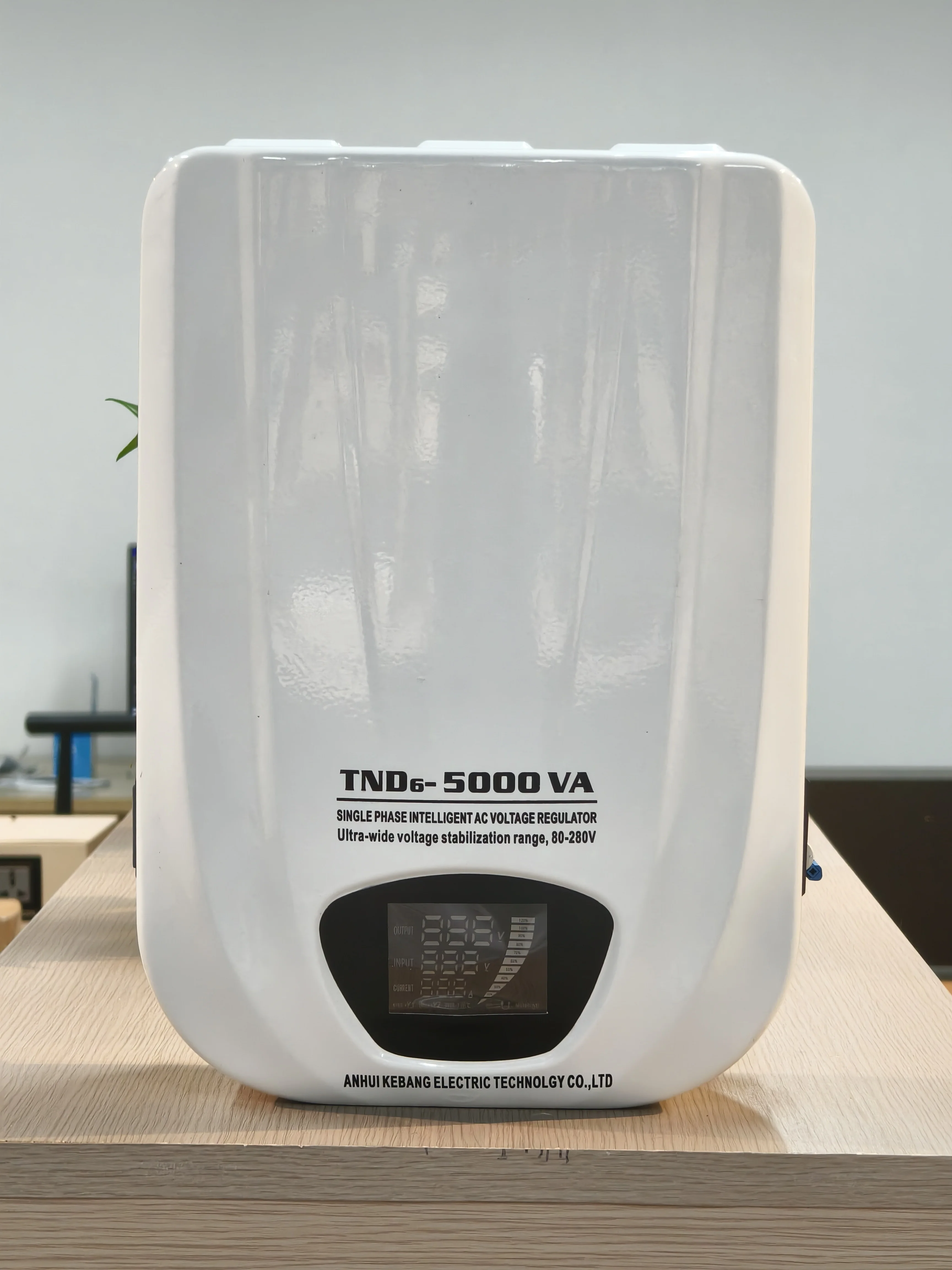 220V/110V Output Wall Mounted Servo Stabilizer Single Phase