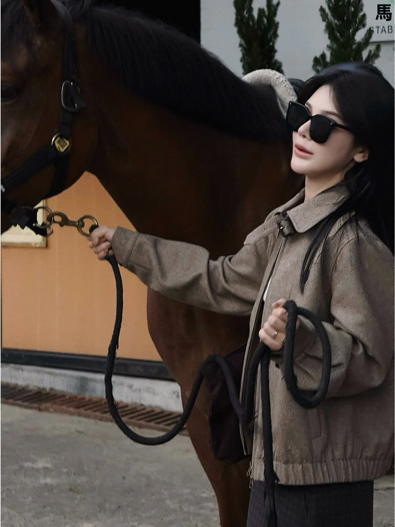 

Женское шерстяное пальто Ele Retro с вышитым узором и дизайном в стиле Che, с длинными рукавами, отложным воротником, приталенного кроя, верхняя одежда