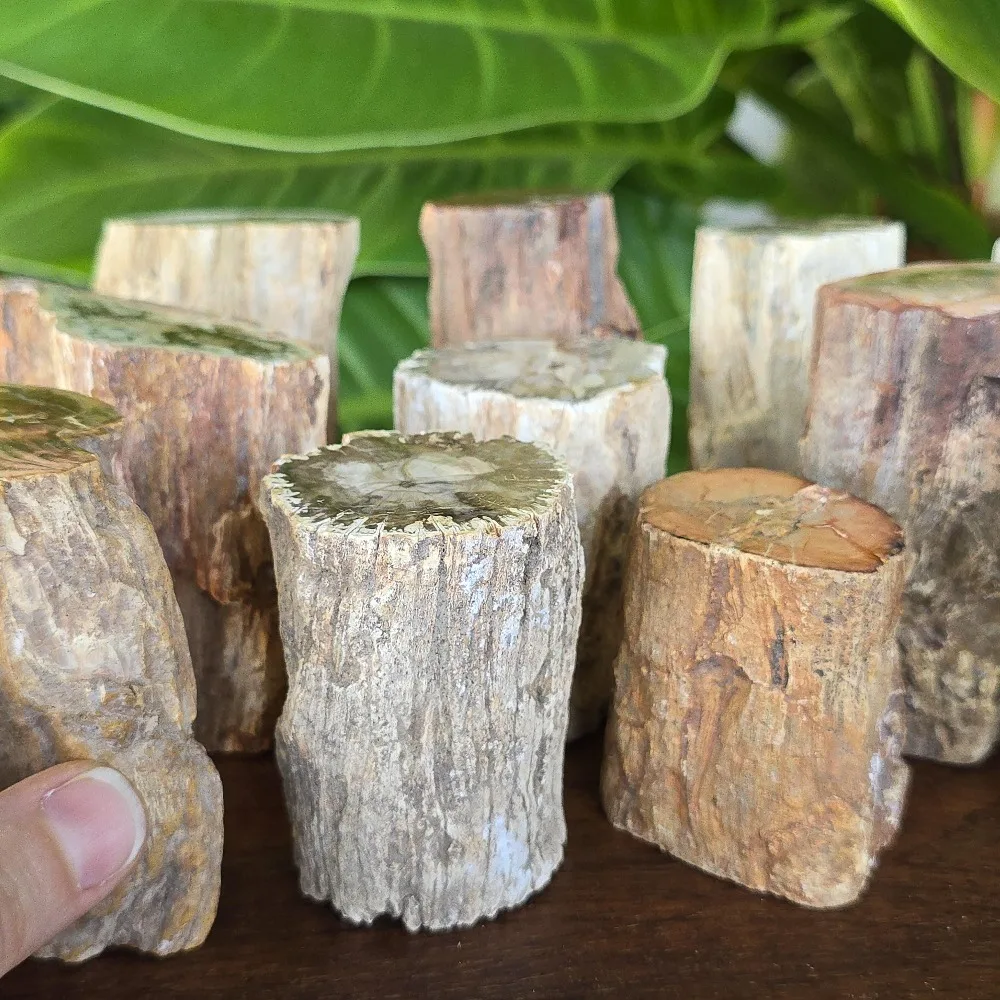 1 Stück Natürlicher Mineralischer Zylindrischer Versteinertes-Holz-Stein-Artefakt, Energie-Kristallscheibe, Rohstein-Holz-Exemplar – Detail 1