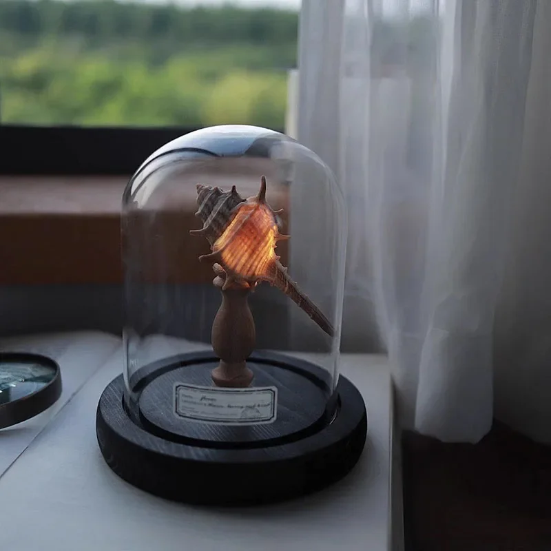 Shell Sea Urchin Lamp Study Desk Conch Decoration Ornament Indoor Bedside Night Light Handmade Diy Material Package Holiday Gift - Image 6