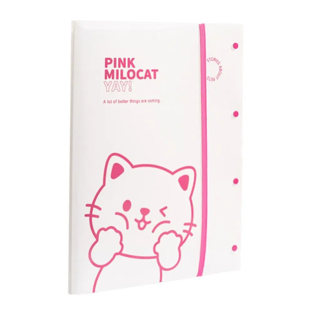 Tas Bagian Dalam Transparan Folder File A3 Kapasitas Besar Buku Penyimpanan Kertas Ujian Ukuran A3 Transparan 30 Halaman