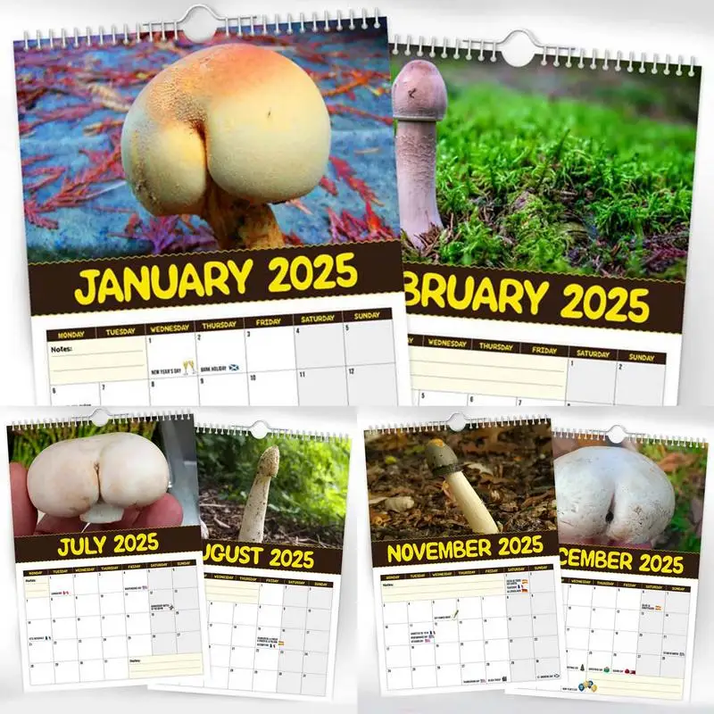 월 달력 버섯 월별 이미지, 전체 페이지 달력, 두껍고 튼튼한 종이 달력