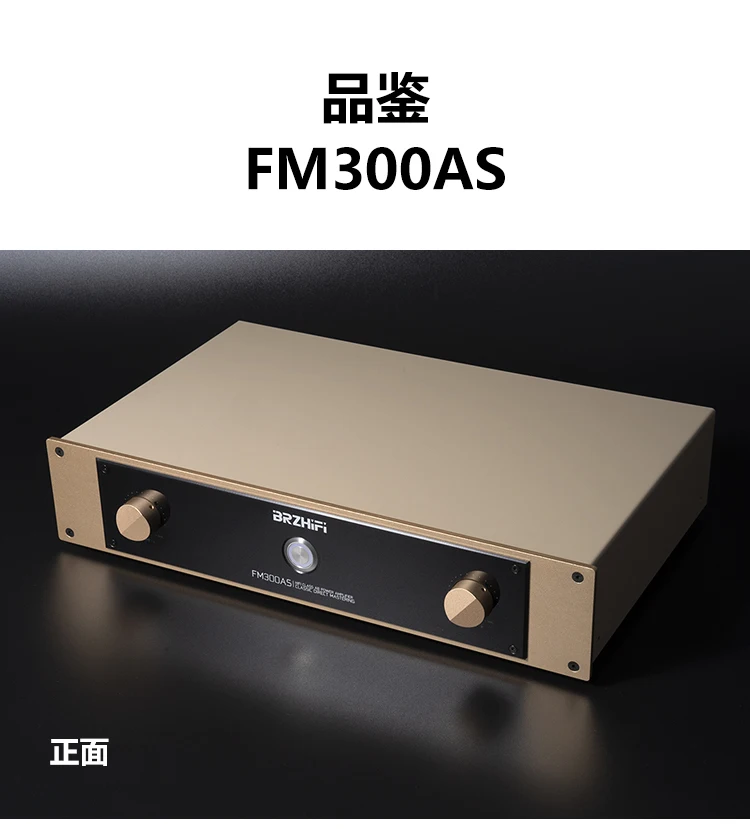 

FM300AS hifi Class AB 150W * 2 stereo Audio power amplifier Directly Engraved Swiss FM