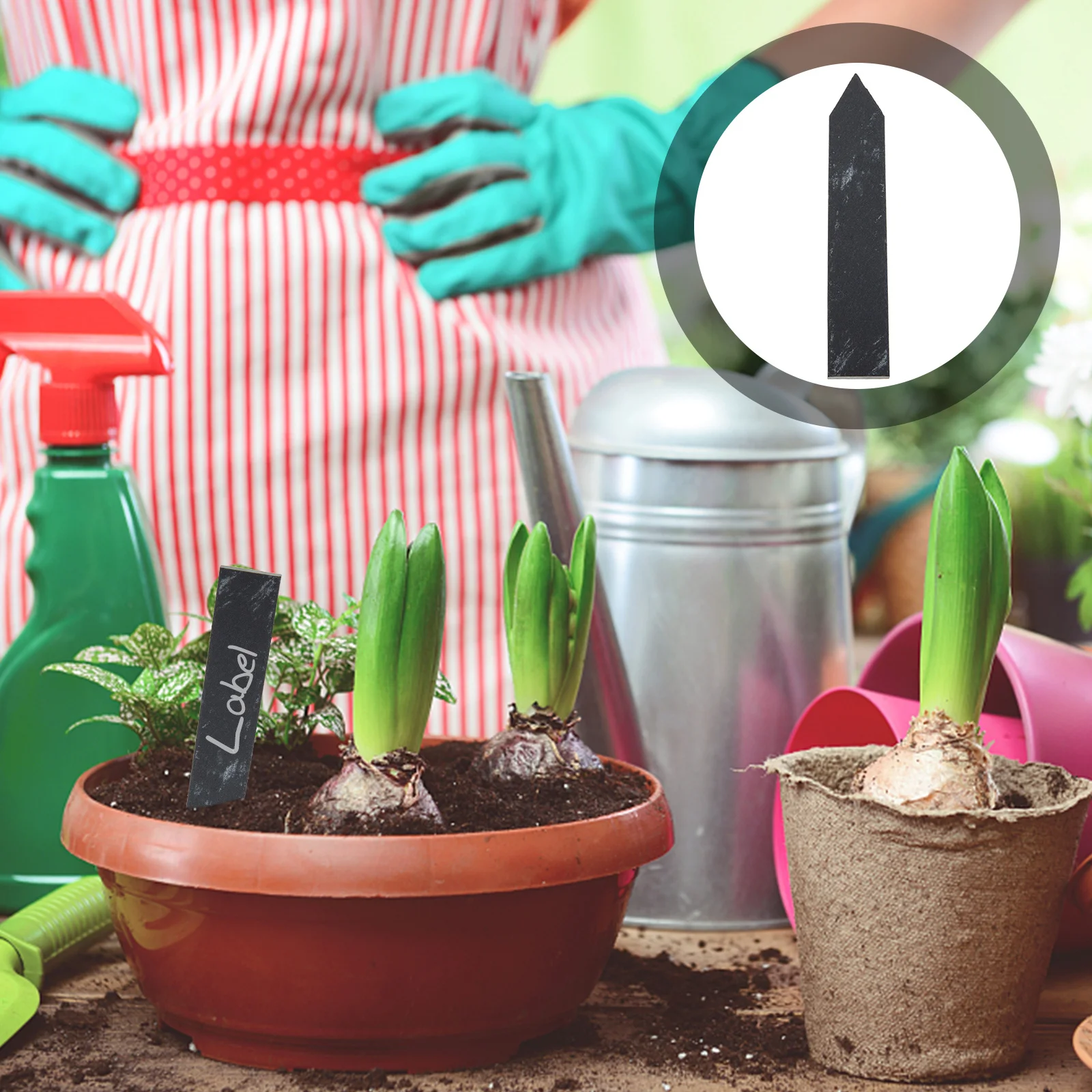 

10Pcs Plant Labels Gardening Markers Reusable Garden Stakes for Flower Pots Gardens Vegetable Beds Outdoor Plant