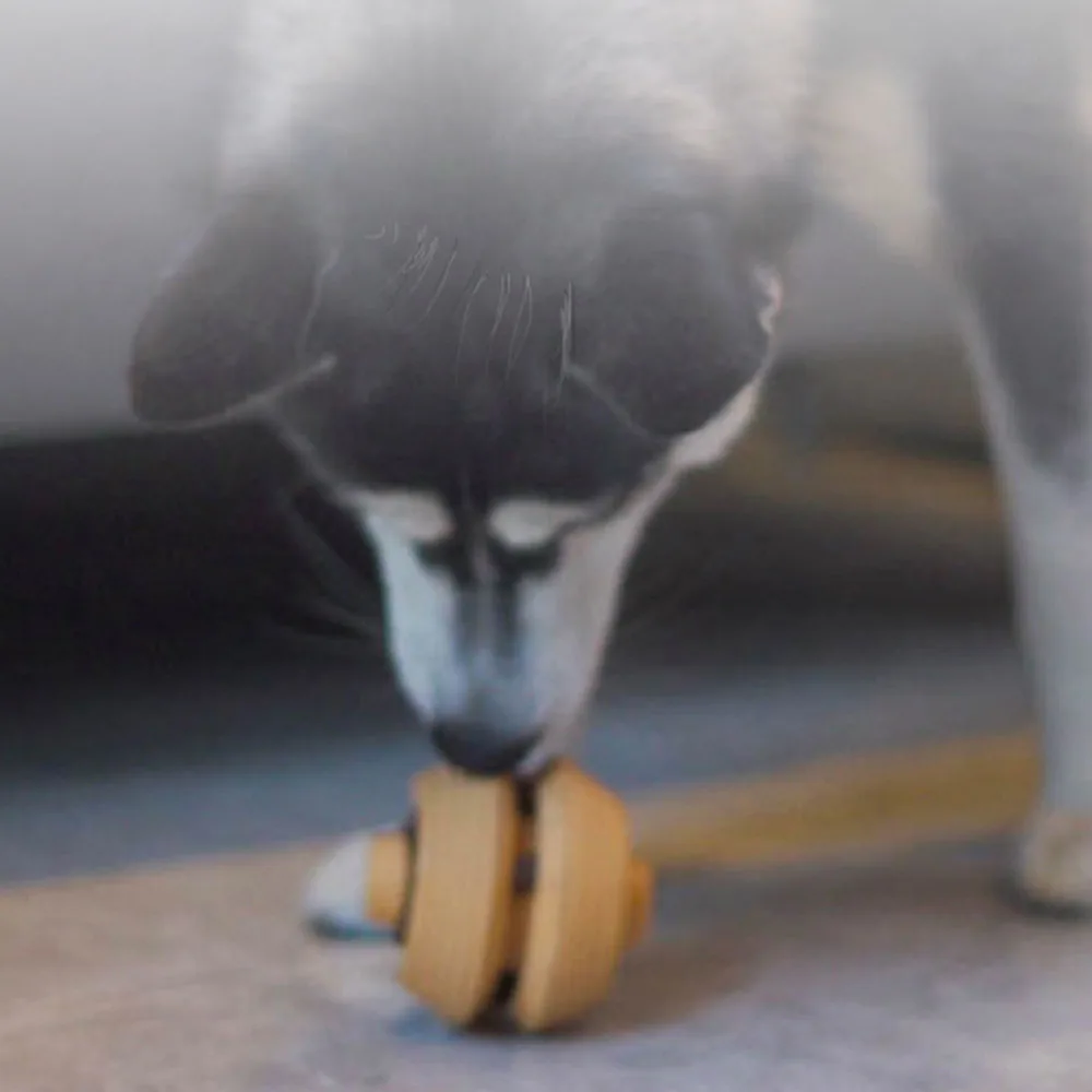 Thumbnail 4 - #13 Cheap Treat Dispensing Puppy Toys Worth Buying