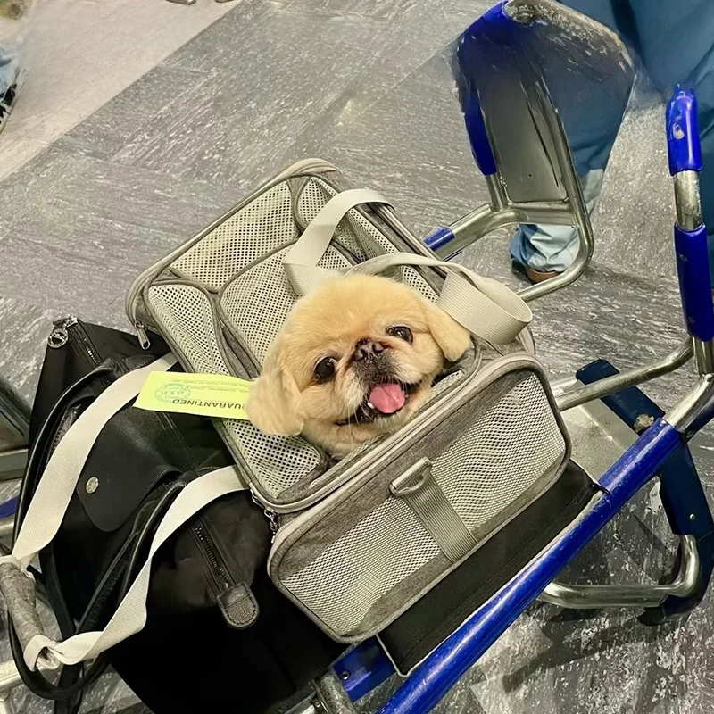 

Korean Air Pet Soft Bag Dog Travel Bapa Cabin Entry Bag Air Travel Pet Carrier Dog Bapa for Flights And Travel