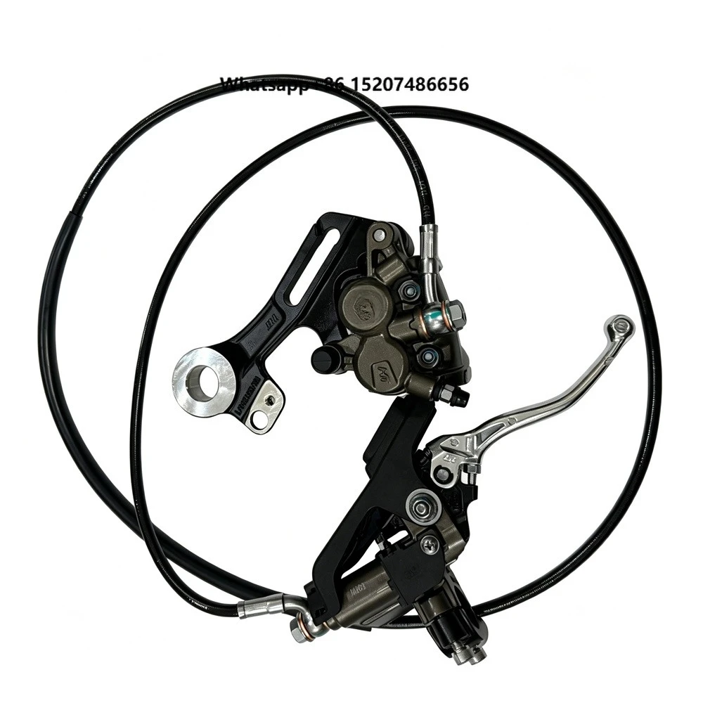Electric Motorbike Original Rear Brake Complete Assembly