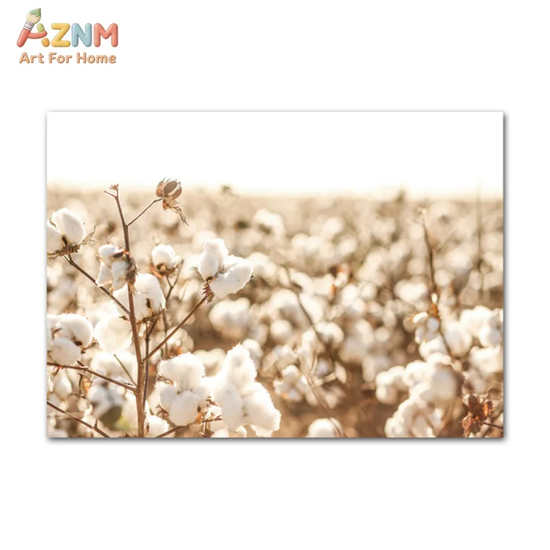 AZNM Neutral Cotton Field Canvas Print Farmhouse Wall Art for Living Room Bedroom Decor