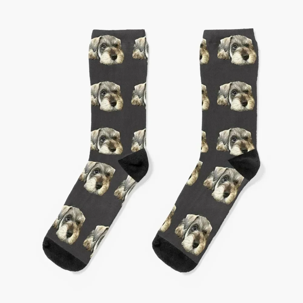 Mini Schnauzer Cute Puppy Dog Socks snow Thermal man winter designer brand Socks Female Men's