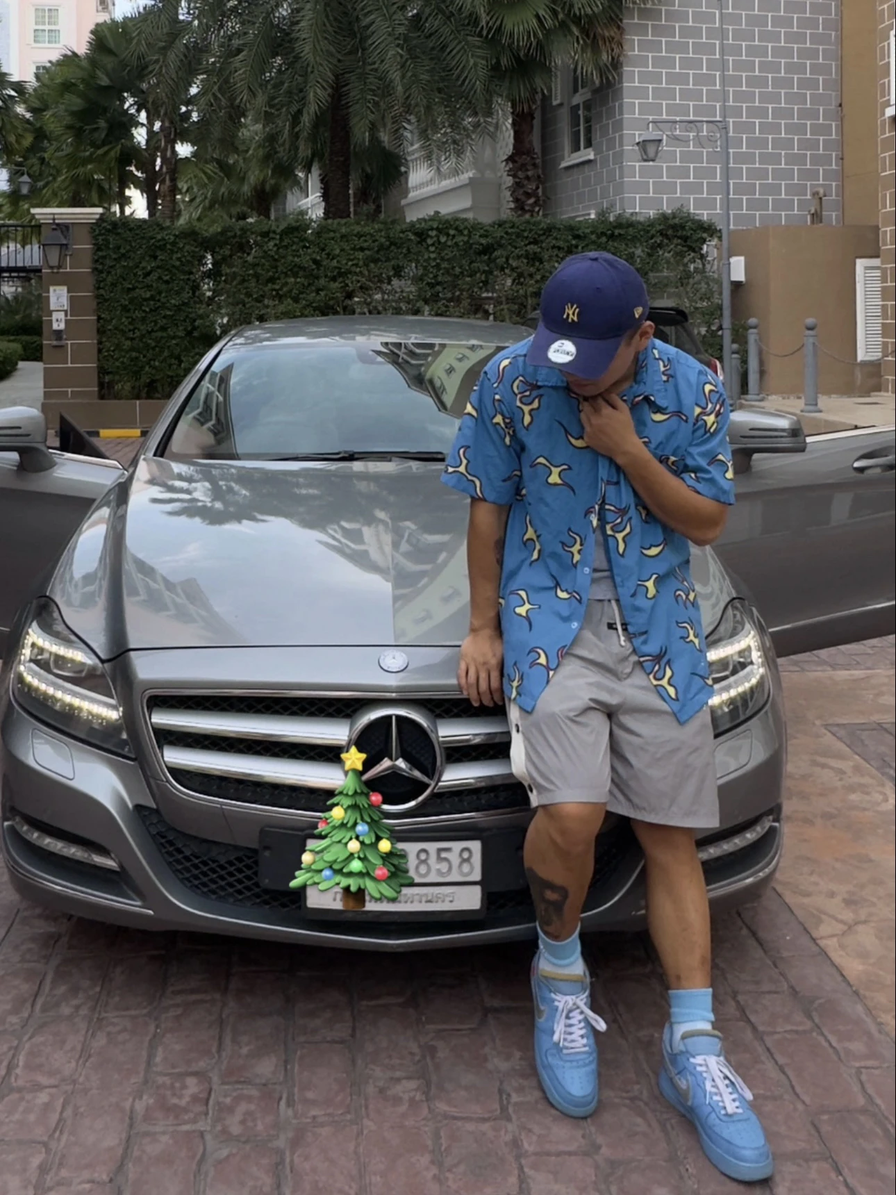 American Sle Ort Sv…