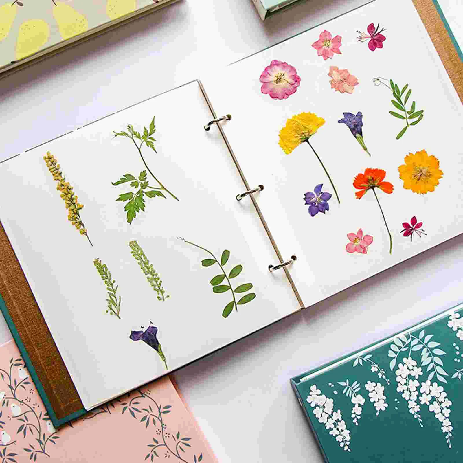 

Sticker Album Scrapbook Holder Storage Bags Suite Leaves Reliable Paper Loose-leaf Plant Specimen Pouch Baby