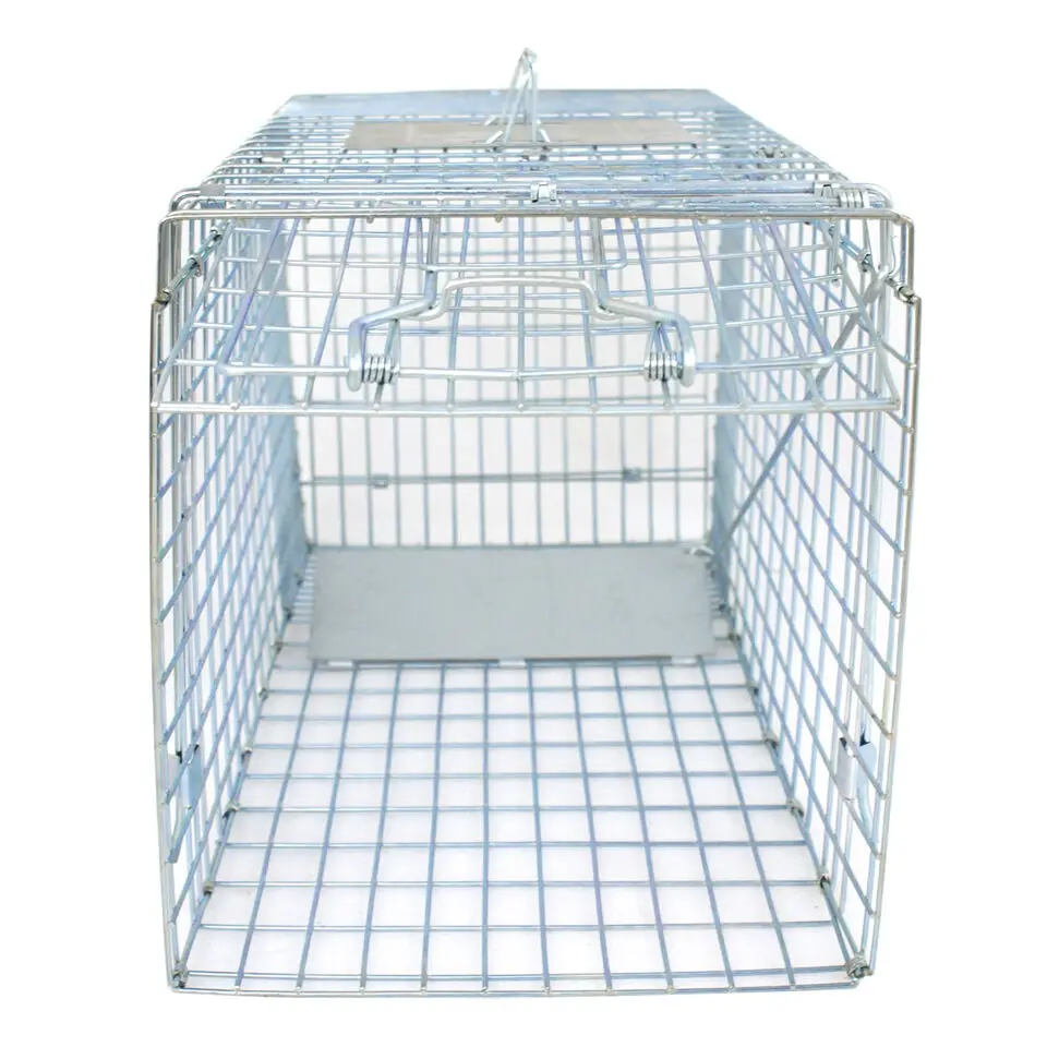 

Humane Small Live Animal Trap Control Steel Cage 32"x12.5"x12" Raccoon Skunk Cat