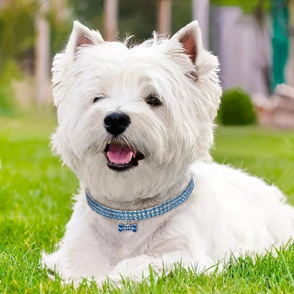 1pc Refined Fashionable Adjustable Pet Collar Necklace For Small Dogs And Cats Fancy Accessory For Puppies Adds Style And Glamou