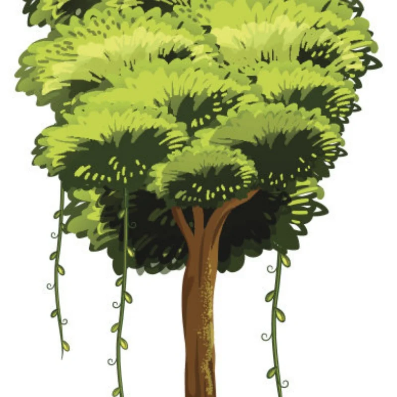 

NEW Carbon Fiber Second Floor Slab Floor Board Plate For 1/10 Tamiya XV02 XV-02 RC Car Upgrade Parts Accessories