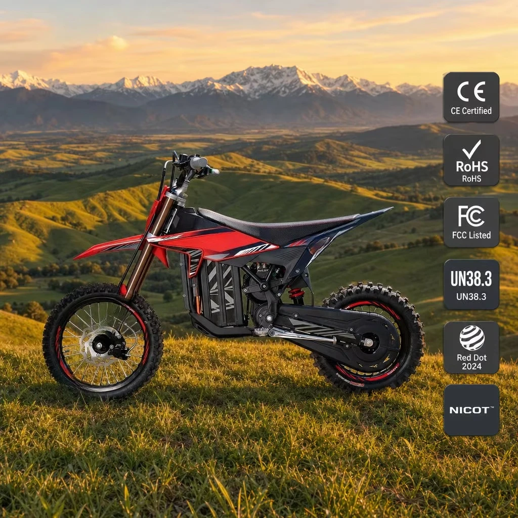 DXYLight electric off-road motorcycle 8.5kW 61kg 100km cruising range, three-mode off-road vehicle CE certification
