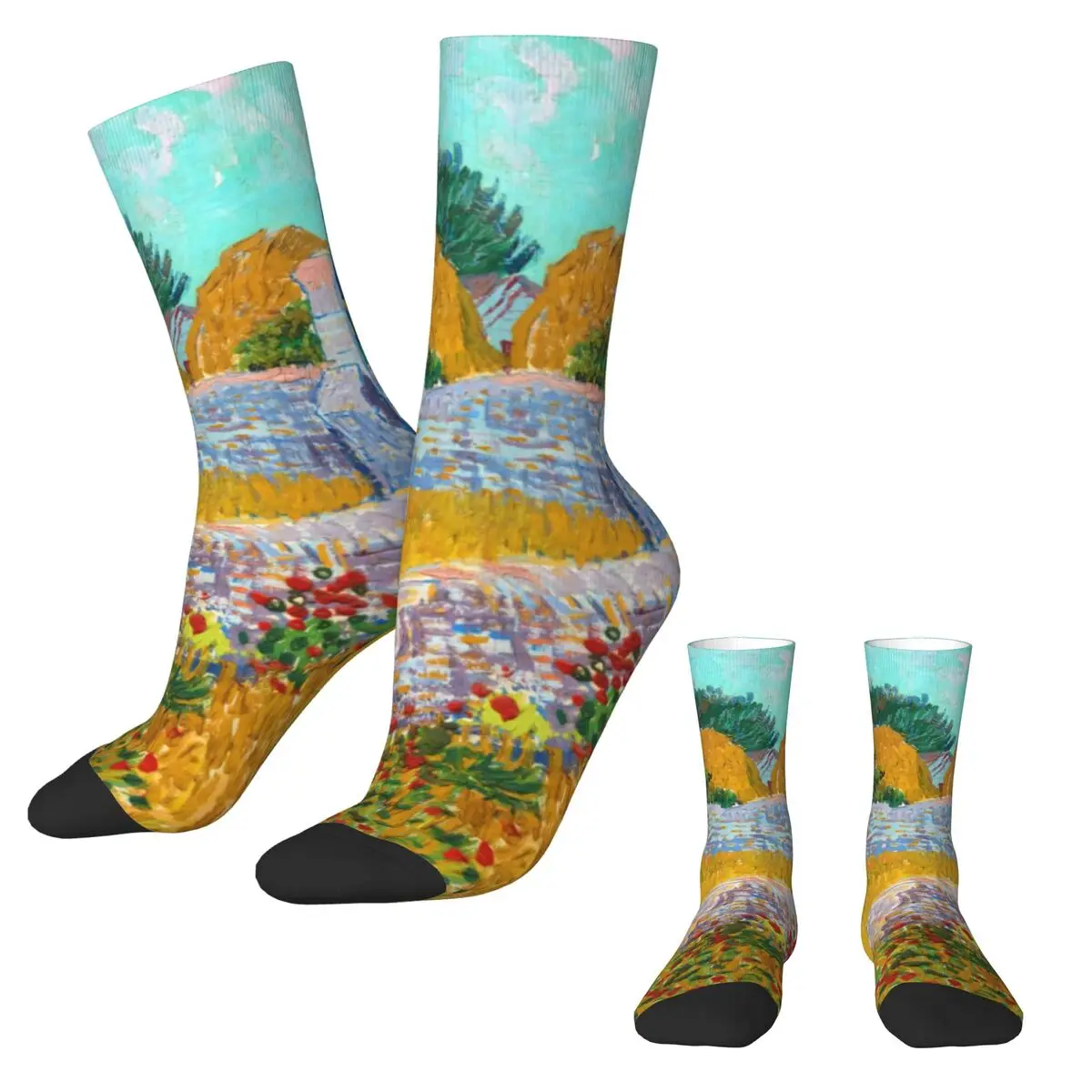 Van Gogh Socks Winter Farmhouse in Provence Stockings Korean Women Medium Soft Socks Design Skateboard Anti Bacterial Socks