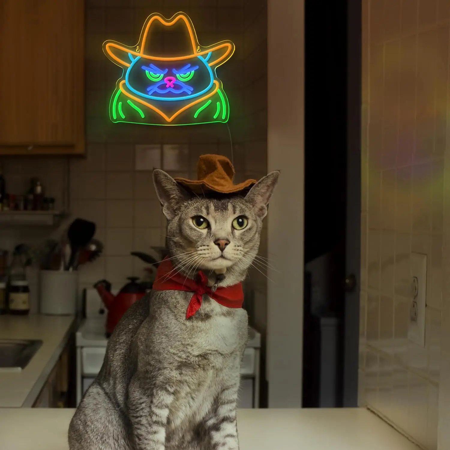 Cowboy Frog Neon Sign LED Wall Art USB Powered  Multi Color Glow Western Animal Theme Bar Game Room Funny Aesthetic Decor Gift