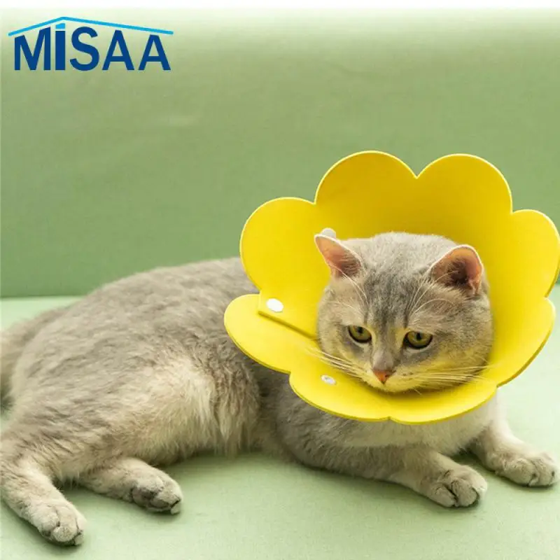 Flower Shaped Cute Anti-bite New Creative Pet Accessories Recovery Collar Wound Healing Protective Cone For Kitten Puppy