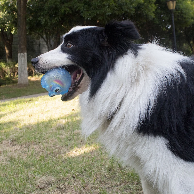 Hund Kauen Spielzeug Training Sound Silikon Ball Simulierte Fisch Form Hund Spielzeug Interaktive Reinigung Zähne Haustier Zubehör – Detail 6