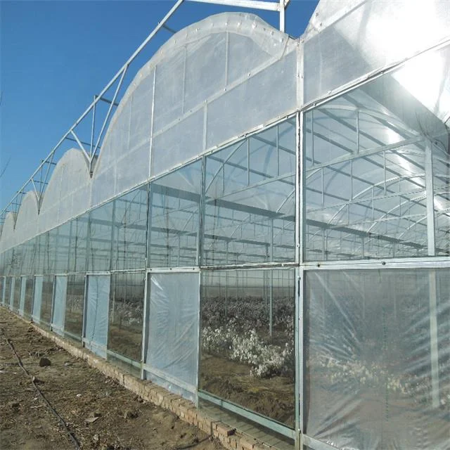 

Customized greenhouseNft System Pvc Pipe/channel for Farm Greenhouse Steel Frame Multispan Plastic Film Greenhouse with Vertical