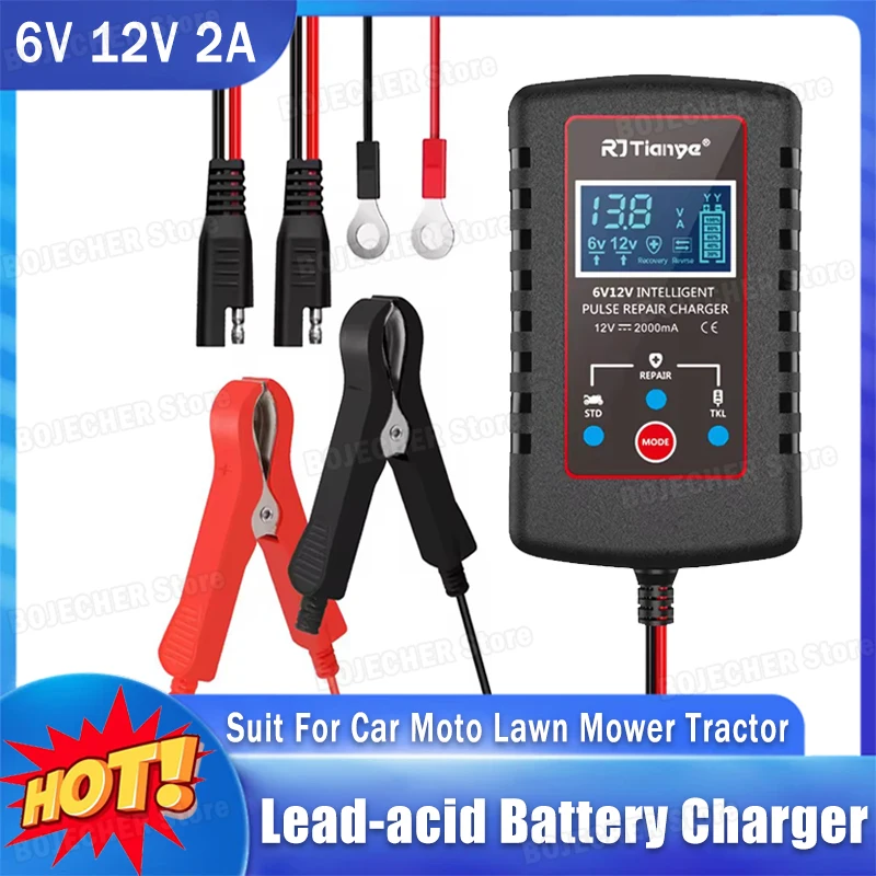 6V 12V 2A Smart Lea…