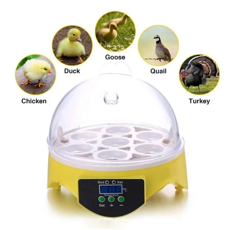 Multifunctional 1-7 Mini Automatic Quail Chicken  Duck Goos Hatching Machine Egg Incubator And Hatcher