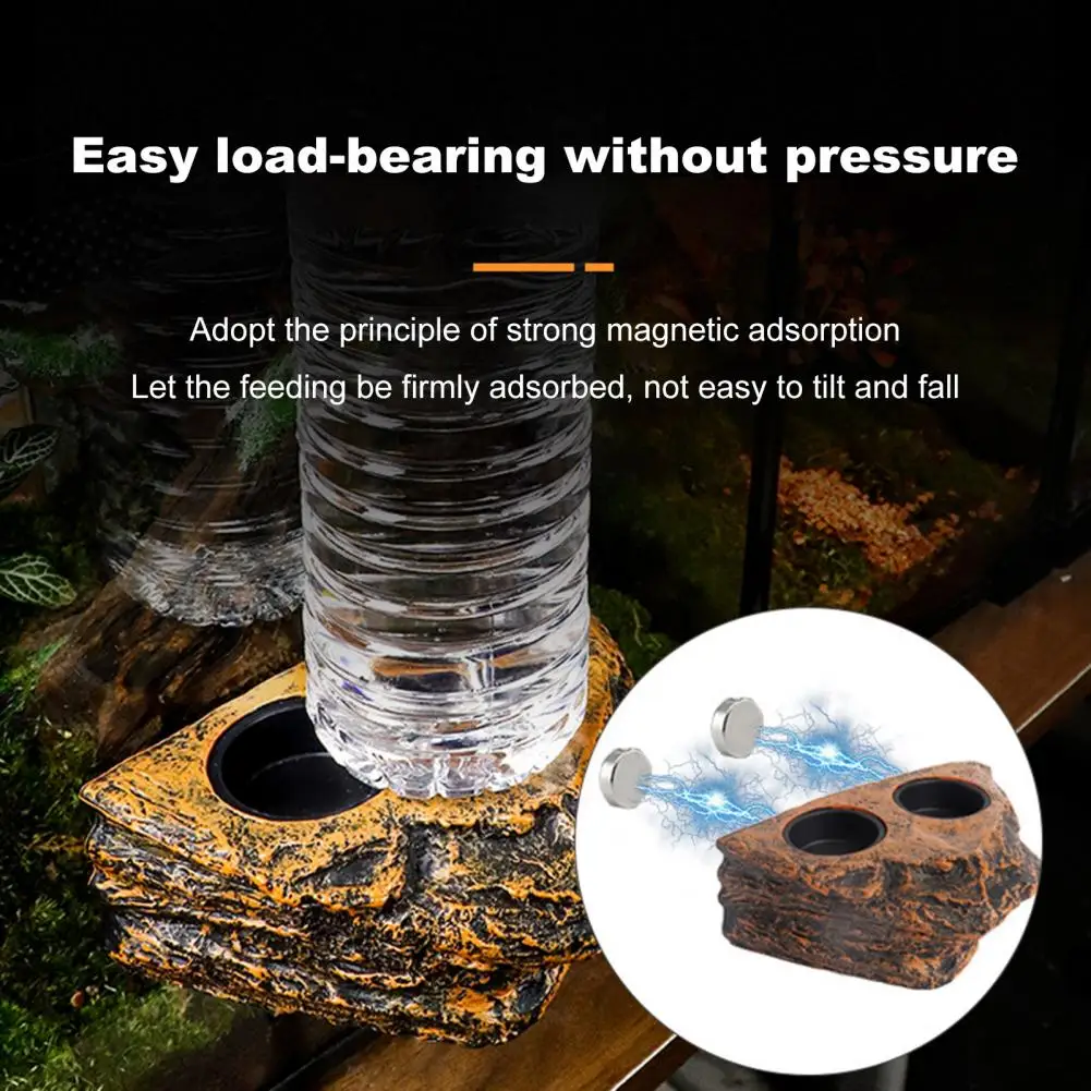 Thumbnail 2 - #30 Trending Reptile Water Bowls Right Now