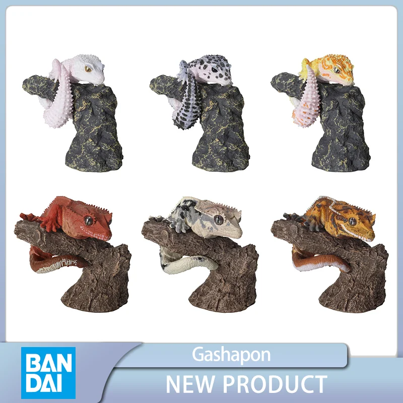 BANDAI-Gashapon Mini Figura Brinquedos, Guia Biomimético Animal, Lagartixa Leopardo, Colete Modelo em Estoque, Original